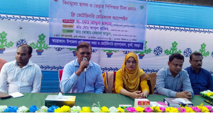 বগুড়ার ধুনটে গবাদি পশুর বিনামূল্যে পিপিআর টিকাদান এবং ফ্রি ভেটেরিনারি মেডিকেল ক্যাম্পেইন অনুষ্ঠিত হয়েছে। ধুনট উপজেলা প্রাণিসম্পদ অধিদপ্তর